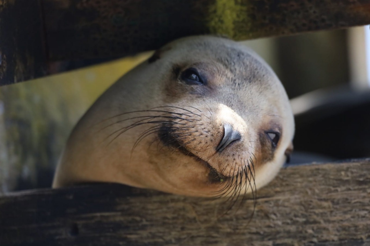 07.-09.07.22 – Isla Isabella